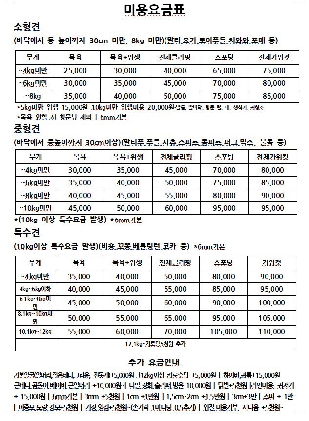 사진 3