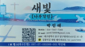 새빛