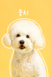 사진관,하연