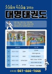 용인대대명태권도