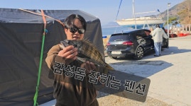 메가보트 스테이