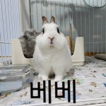 빽다방 관악인헌점