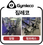 바디짐