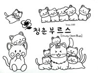 청춘부르스키친