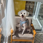 체리쉬몽