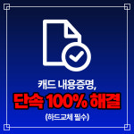 에이스네트웍