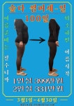 숲속의다이어트캠프