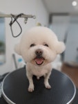 아트펫갤러리