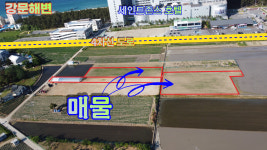강릉미송공인중개사사무소