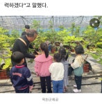 내안의복숭아농원