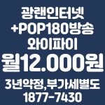 서일네트워크