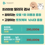 디테일 동물의료센터