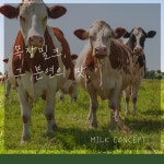 밀크컨셉 검단점 | 밀크컨셉 운서넙디점
