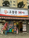 오늘은돼지