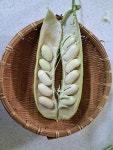 토담EQ어린이집