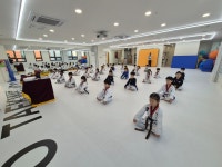경희대효태권도장