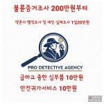 프로탐정사무소