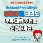 경희대 효 태권도