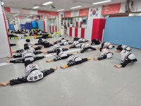 경희대효태권도장