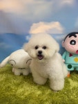 복탄산수
