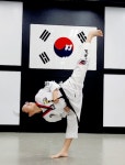 한미태권도특공무술