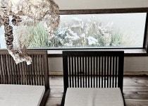 호두가한옥스테이