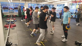 복싱매니아
