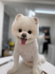 프리펫살롱