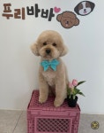 푸리바바