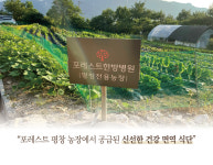 포레스트한방병원 강동