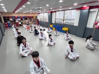 백일홍천지태권도
