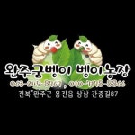 완주굼벵이벵이농장