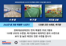 경희대금성태권도