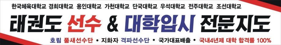 한국체대 호림태권도장