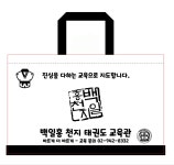 백일홍천지태권도