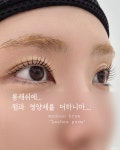 모든브로우
