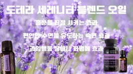 헤르츠 뷰티라운지