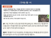 희망숲치유농장