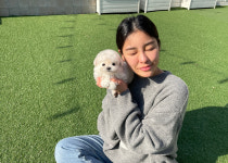 부산애견호텔 강아지유치원 펫퍼센트 코모네하우스