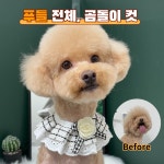 다시오개