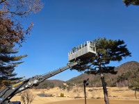 스카이차