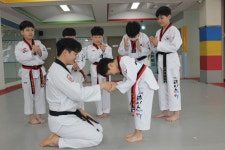 경희대에이스태권도