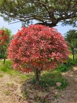 바른조경