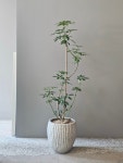 로만스1218