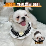 다시오개