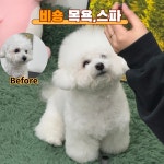 다시오개