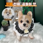 다시오개