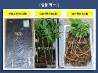 희망숲치유농장