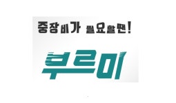부르미