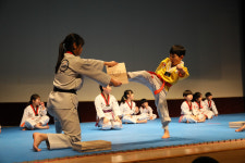 명지태권도